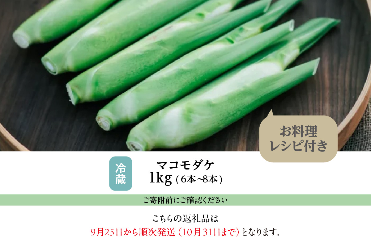 知立市特産　マコモタケ(1kg)　（6～8本）（2158）