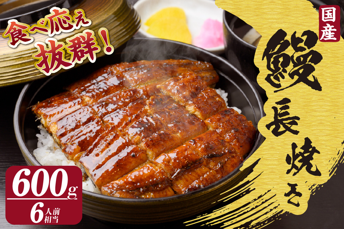 国産特大うなぎ長焼き３尾(約２００ｇ)　合計約６００ｇ（1664）
