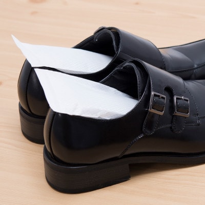 靴のニオイを徹底消臭!減らない調湿・消臭剤『吸臭大将くつ用』　【10個セット】　　原料/加工(国産)