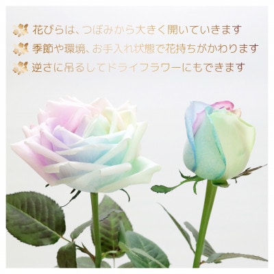 生花 レインボーローズ 花束 ピュアパステル Sサイズ : 愛知県尾張旭市 10本【配送不可地域：離島・北海道・沖縄県・東北・中国・四国・九州】