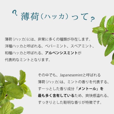easeアロマスプレー　ハッカ 100ml+詰替90mlセット 清涼感あふれる薄荷の香り【配送不可地域：沖縄県】