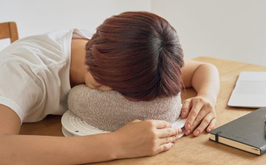 健康・伏せ寝台らくま