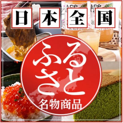 靴のニオイを徹底消臭!減らない調湿・消臭剤『吸臭大将くつ用』　【10個セット】　　原料/加工(国産)