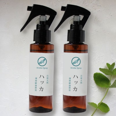 easeアロマスプレー　ハッカ 100ml×2本 清涼感あふれる薄荷の香り　リフレッシュしたい時に【配送不可地域：沖縄県】