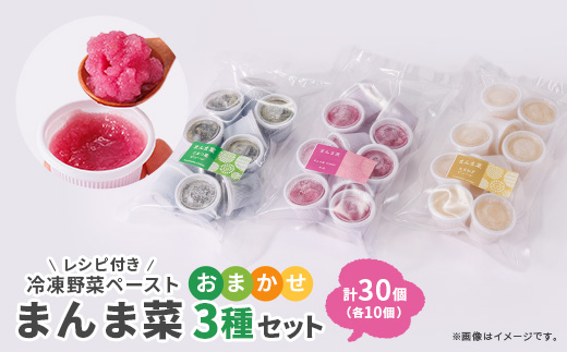 まんま菜　冷凍野菜ペーストおまかせ3種セット【配送不可地域：離島】