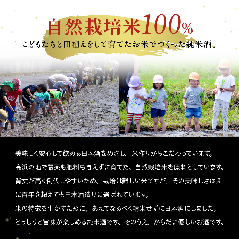 日本酒・高浜地酒「子土盛（こども）」 
