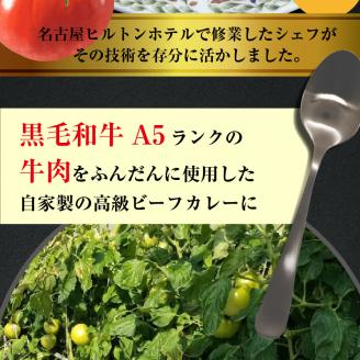 お肉屋さんのトマト入りビーフカレー　5袋