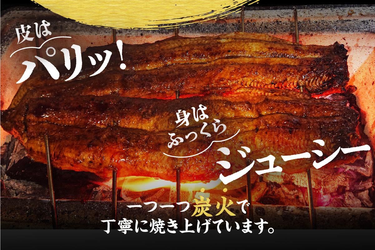 三河一色産　うなぎの蒲焼2尾