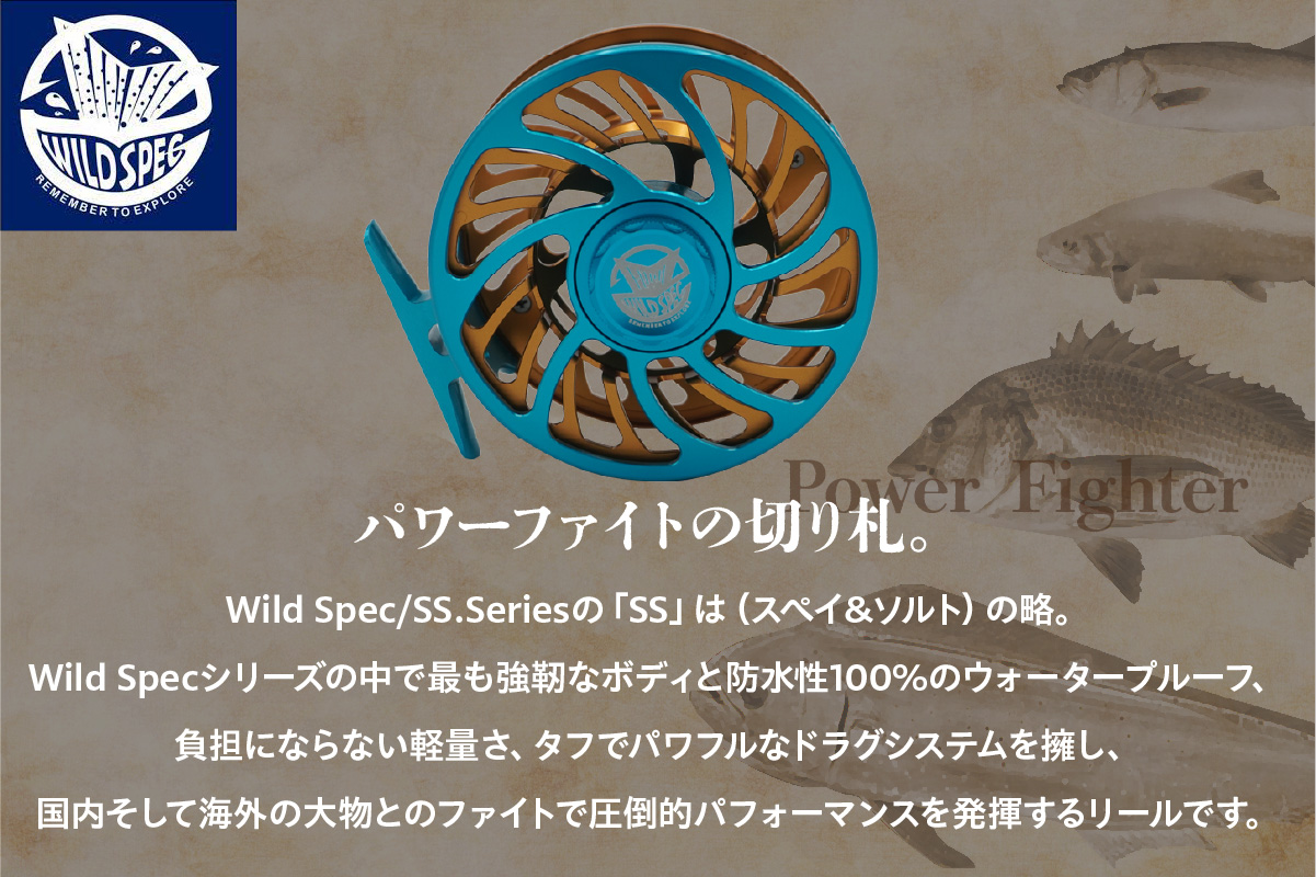 Wild Spec/SS.Series シアンブルー×ゴールド  【9.10.11サイズ】