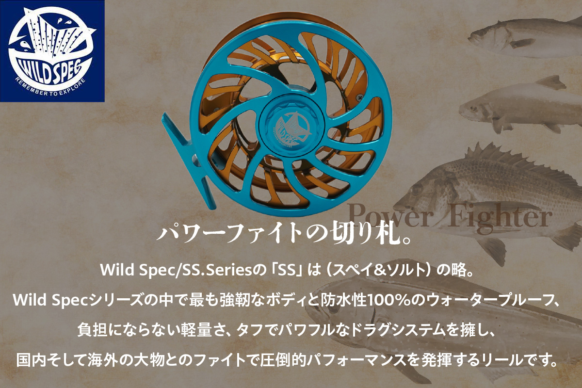 Wild Spec/SS.Series シアンブルー×ゴールド  【10.11.12サイズ】