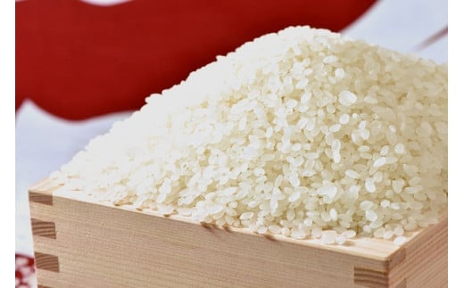 黄金ブレンド　マイマイ米５㎏