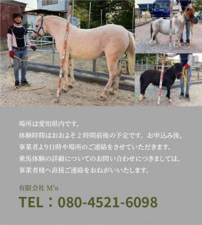 幸せになるふれあい乗馬