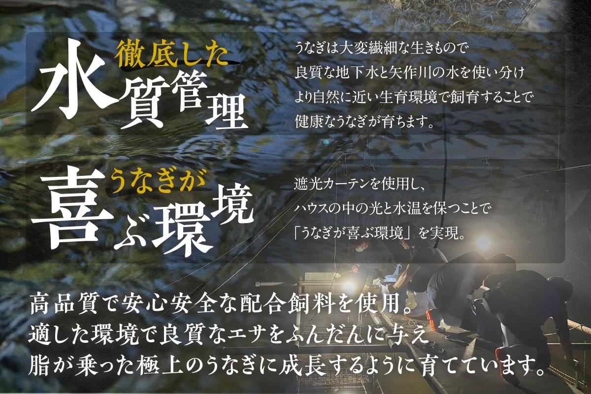 【定期便6ヶ月】三河高浜産三代目養鰻家の白焼きうなぎ 特大2尾