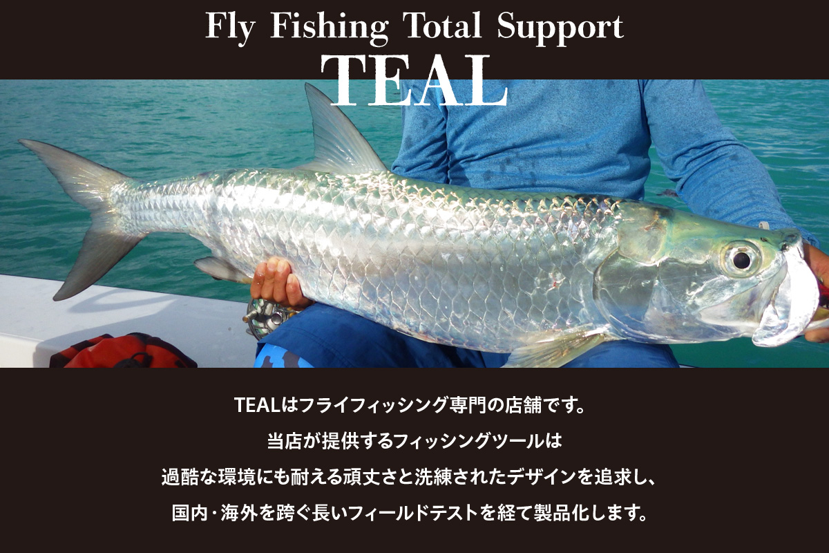 WILD SPEC Fishing Pliers シャンパンゴールド