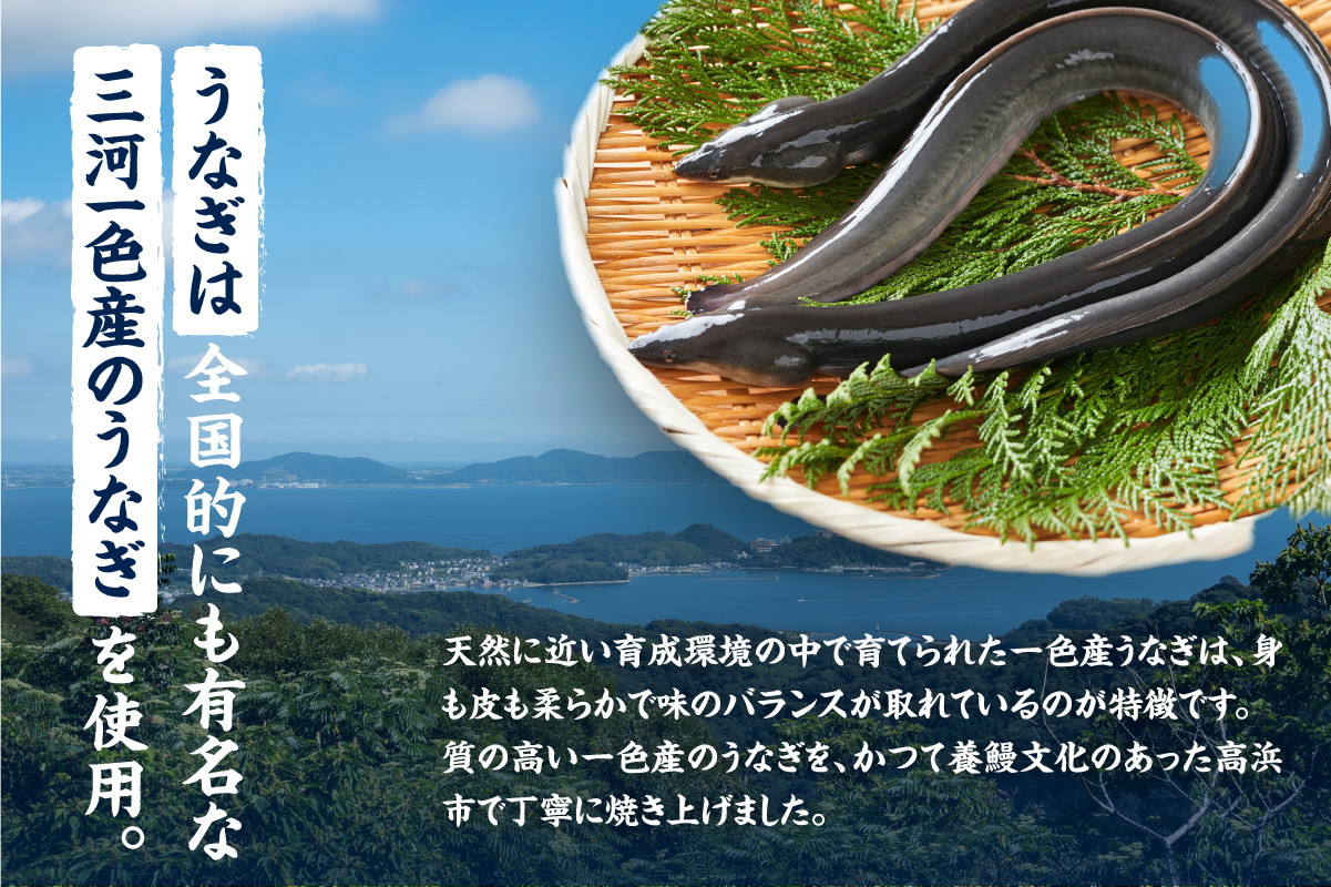 三河一色産うなぎの白焼１尾