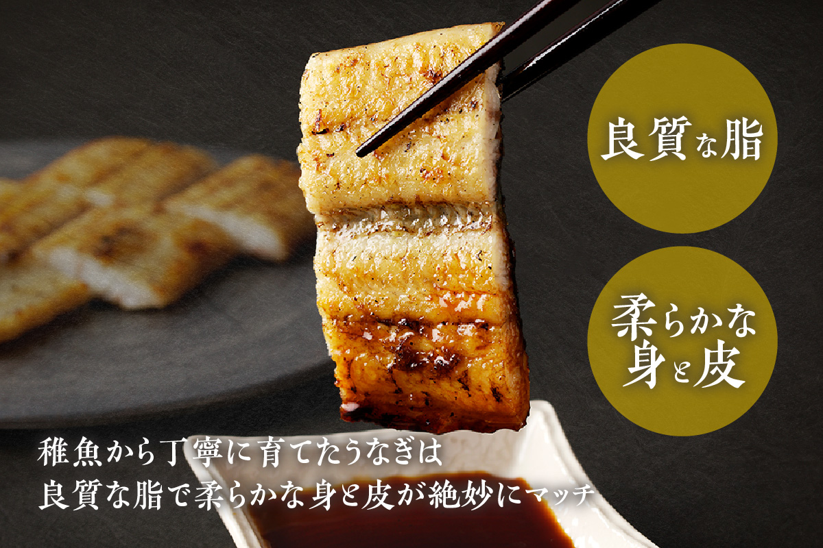 【定期便6ヶ月】三河高浜産三代目養鰻家の白焼きうなぎ 特大5尾