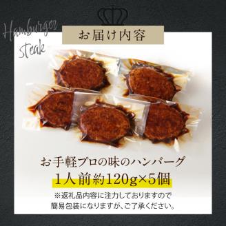 お手軽プロの味のハンバーグ　ハンバーグ１人前１２０ｇ×５個	