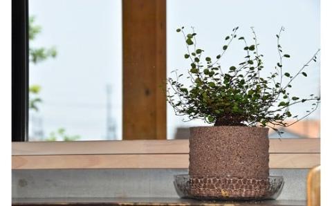 アクアプラントポットHACHI「円(ﾏﾄﾞｶ)」黒