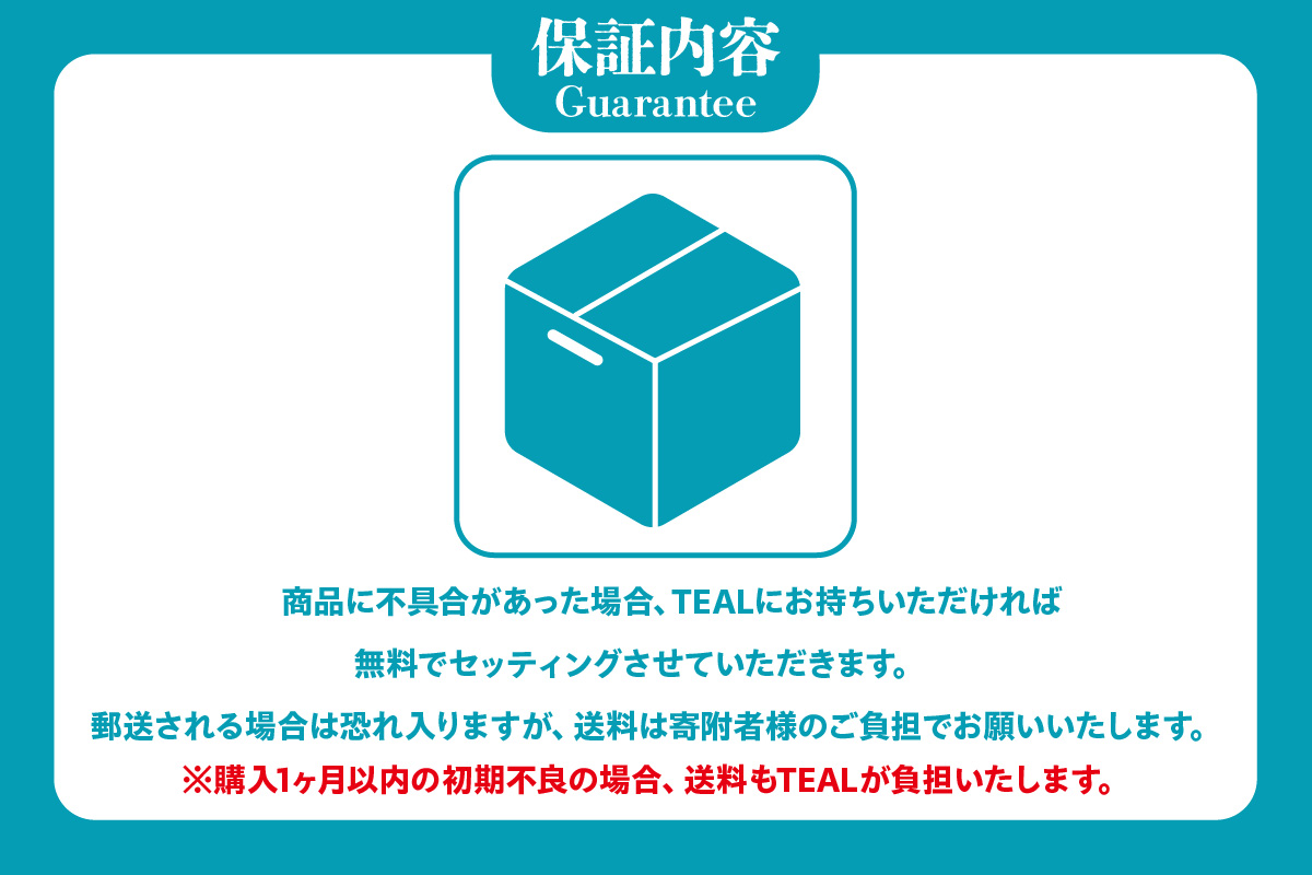 Wild Spec/FS2.#9/10.series　マットシルバー＆ティールブルー