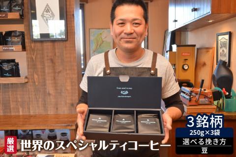厳選！世界のスペシャルティコーヒー 250ｇ×3種 豆