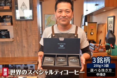 厳選！世界のスペシャルティコーヒー 250ｇ×3種 中挽き