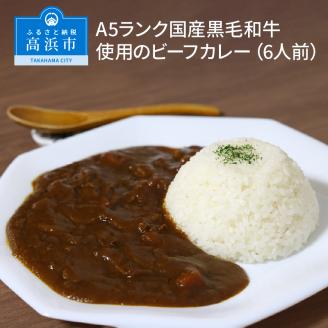 A5ランク国産黒毛和牛使用のビーフカレー（6人前）