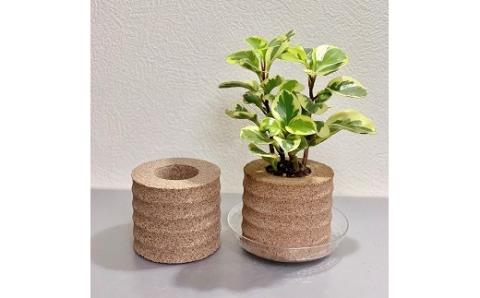 アクアプラントポットHACHI「円(ﾏﾄﾞｶ)」茶