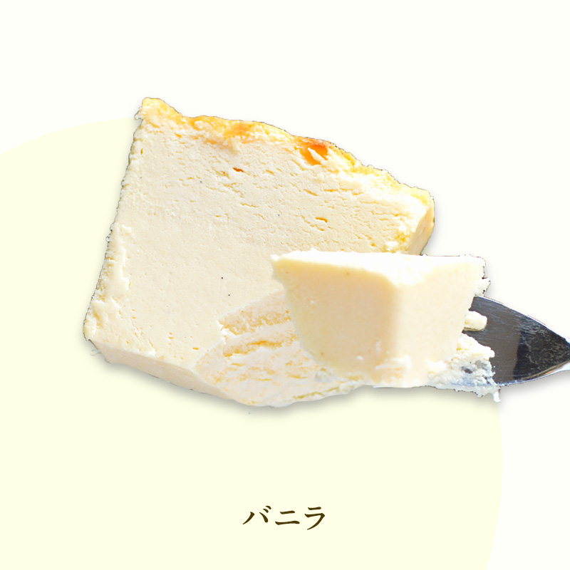 ダウニーリッチチーズケーキ4個入り 洋菓子 スイーツ ケーキ チーズケーキ ベイクド レアチーズ バニラ ラズベリー 抹茶 チョコレート デザート 濃厚 冷凍 セット 食べ比べ 愛知県 日進市