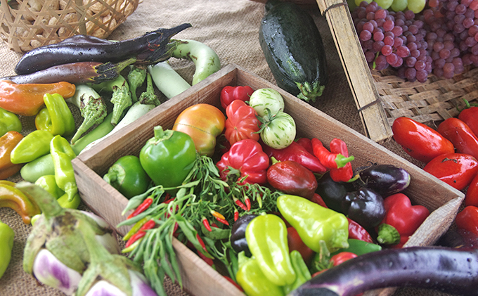 下田ビレッジ農園 半年間（6ヶ月間） ご利用券