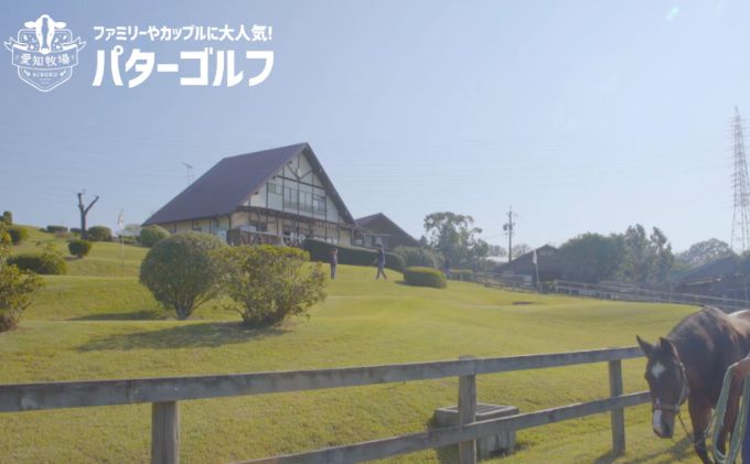 パターゴルフ大人用11回利用回数券