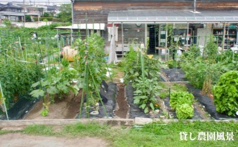 下田ビレッジ農園1年ご利用券