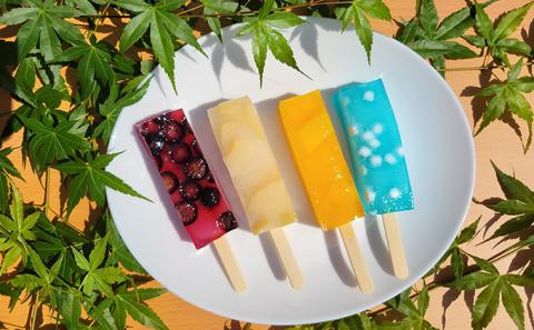 葛バー 10種 22本 セット 詰め合わせ 溶けないアイス くずバー とけないアイス 葛 アイス バー 和菓子 お菓子 菓子 デザート スイーツ いちご みかん 白桃 パイン ラムネ 抹茶 栗小倉 マンゴー ぶどう ブルーベリー 愛知 愛知県 日進市