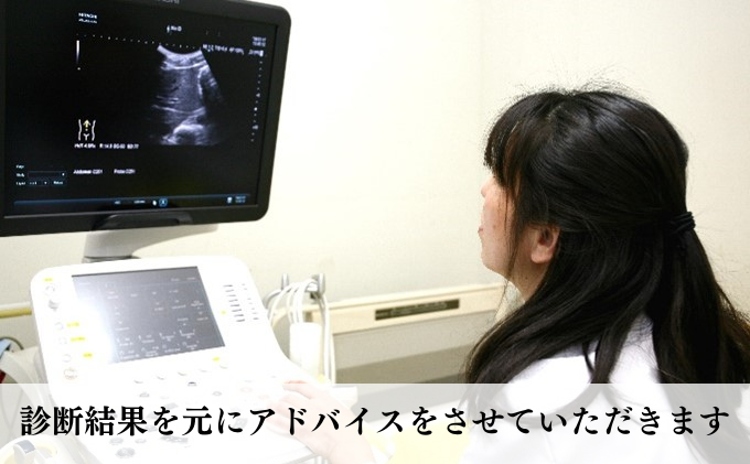 【1名様分】愛知国際病院 人間ドック受診チケット レギュラー半日コース 愛知県 健康診断