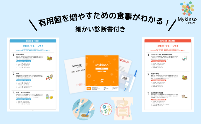 【1名様分】愛知国際病院 腸内フローラ検査受診券 アドバイス付き（要来院） 腸活 生活改善 体質