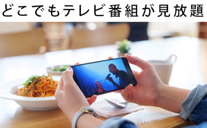 BUFFALO バッファロー スマホでテレビが楽しめるレコーダー nasne(登録商標) 電化製品 家電 スマホ テレビ 大容量