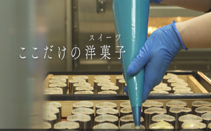 愛知牧場 冷凍スイーツセット（アイスクリーム12個・カタラーナ2箱・半熟チーズケーキ2箱）