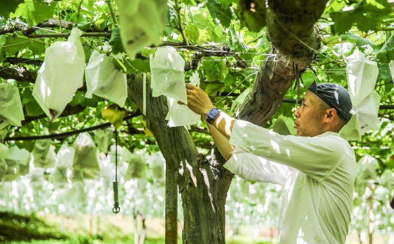 干しぶどうバターサンド6個入（3種類×2個）