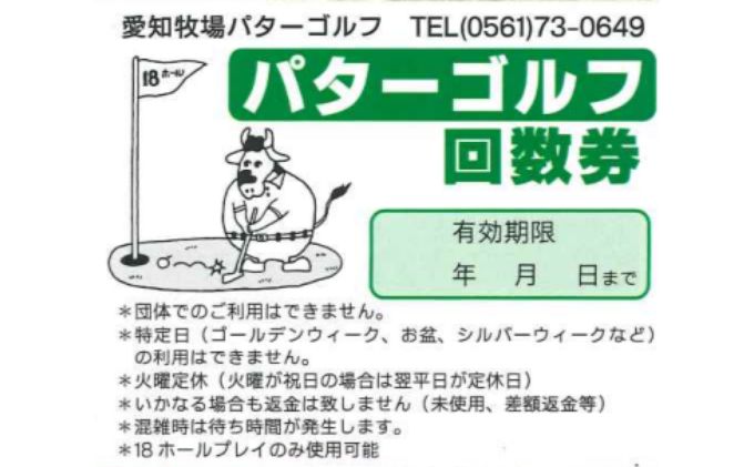 パターゴルフ大人用11回利用回数券