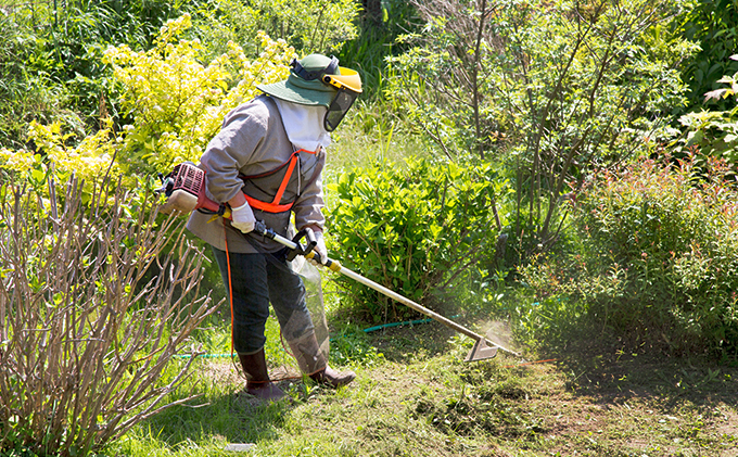【要事前連絡】「お庭の草刈り（50㎡）」サービス＜愛知県日進市内限定＞