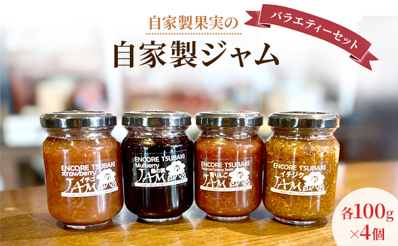 ジャム 自家製果実の自家製ジャムバラエティーセット 各100g×4個 セット 自家製 果実 自社農園 新鮮 フルーツ てづくり りんご アプリコット 葡萄 マルベリー ビワ イチゴ 日進市 愛知県