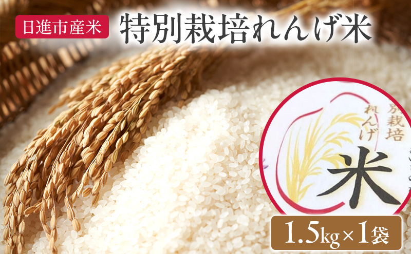 お米 特別栽培れんげ米 日進市産米 1.5kg×1袋 米 コメ 精米 白米 あいちのかおり 特別栽培米 れんげ草 日進市 愛知県