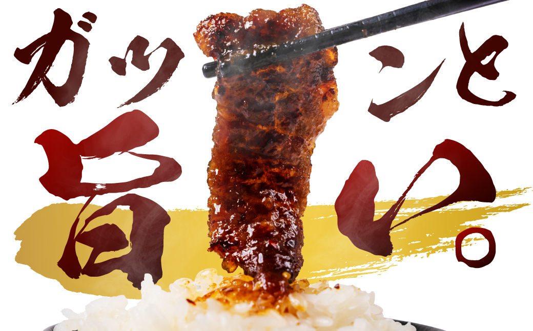 【ブランド牛】田原牛のタレ付き特選上カルビ500g ／ 牛肉 BBQ 愛知県 産地直送 田原市 渥美半島