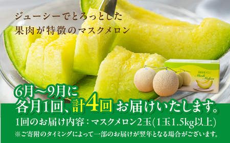 【定期便】先行予約 マスクメロン 4回  伊良湖産 2玉 2026年6月スタート  箱詰め メロン フルーツ 果物 お中元 お取り寄せ ギフト 渥美半島 田原市  マルカ農園 産地直送 送料無料 48000円