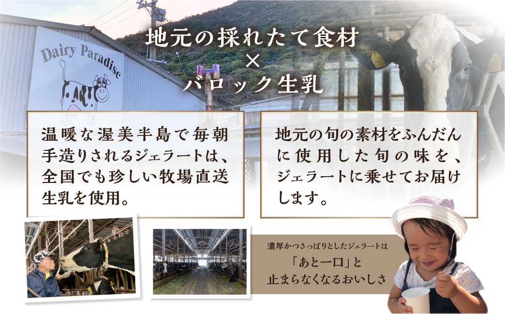 バロック ジェラート 訳あり おまかせセット 6個 入り