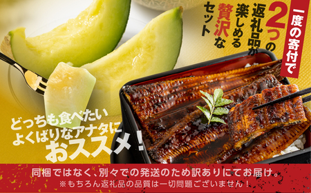幻の青うなぎ＆マスクメロンセット 食感・風味全てに自信のある最高のうなぎ | 鰻 ウナギ ふっくら うなぎ ブランド 旬 フルーツ メロン アールスメロン