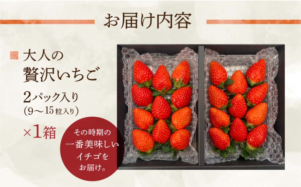 安田農園大人の贅沢いちご 2パック イチゴ いちご 苺 果物 くだもの フルーツ 贅沢品 贈答品 高級品 ブランド お取り寄せ 田原市 産地直送 安田農園