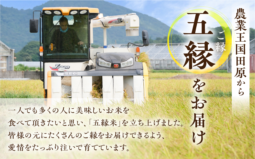 【先行予約】五縁米5 kg　定期便6回　こしひかり お米 ごはん コシヒカリ 白米 5キロ 産地直送 愛知県 田原市