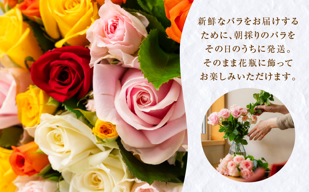 【赤/ラッピング有】バラ 花束 20本 花 薔薇 生花 愛知県 田原市