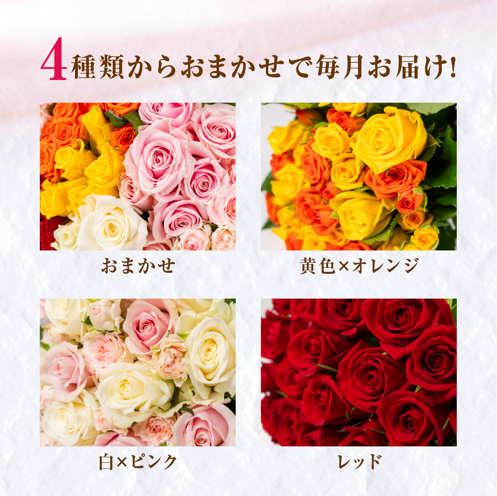 バラ 花束 20本 定期便 3カ月コース