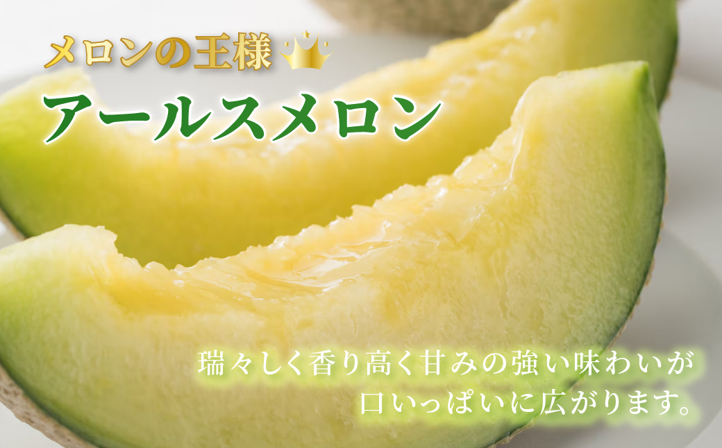  特別限定栽培 八右衛門アールスメロン 大玉2kg 1玉 （マスクメロン） 先行予約 メロン めろん 箱詰め フルーツ 果物 愛知県 田原市 6月 7月